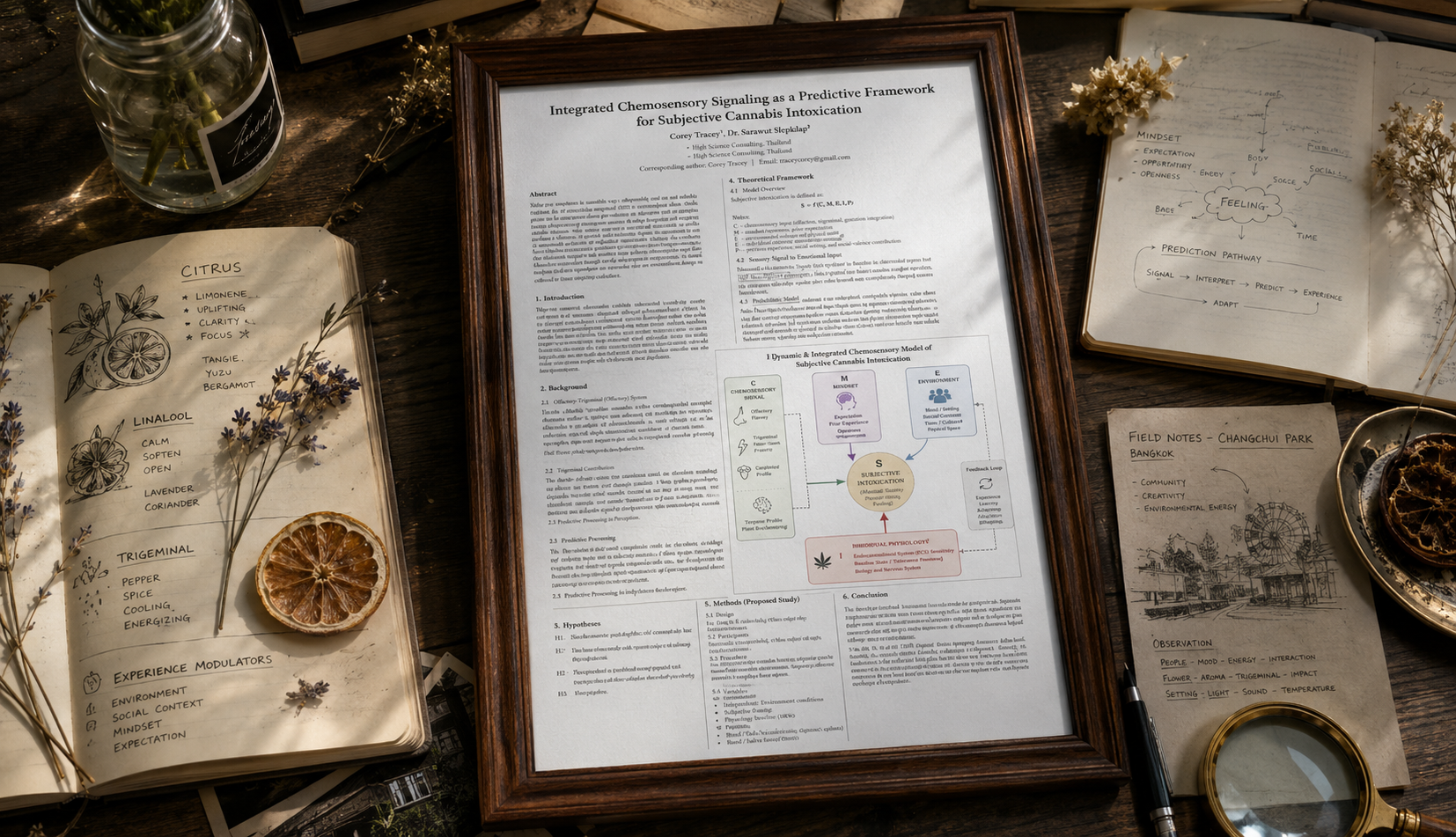 Overhead research desk: a framed thesis, 'Integrated Chemosensory Signaling as a Predictive Framework for Subjective Cannabis Intoxication' by Corey Tracey and Dr. Sarawut Slepkilap, surrounded by a citrus and linalool field notebook, Changchui Park field notes, a magnifying glass, dried botanicals, and annotated reference papers.